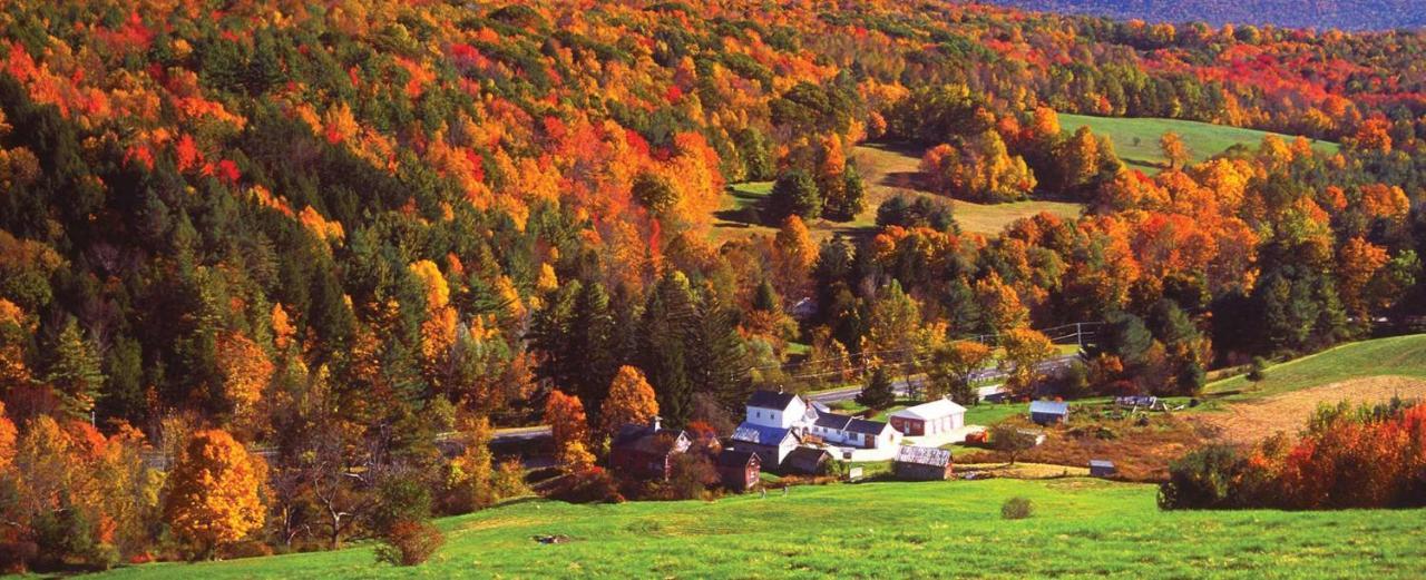 Charming 120-Year-Old Farmhouse By The Creek. Starlight Luaran gambar